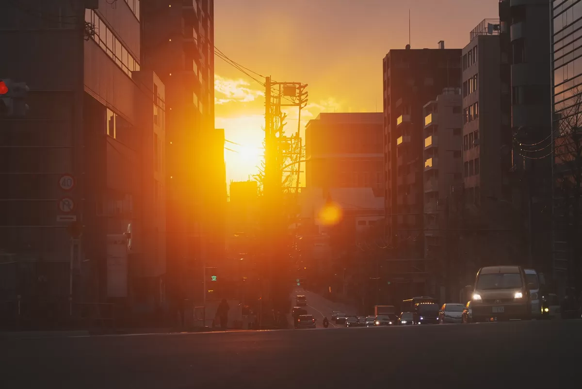 Photography by Shintaro Hosoi 15